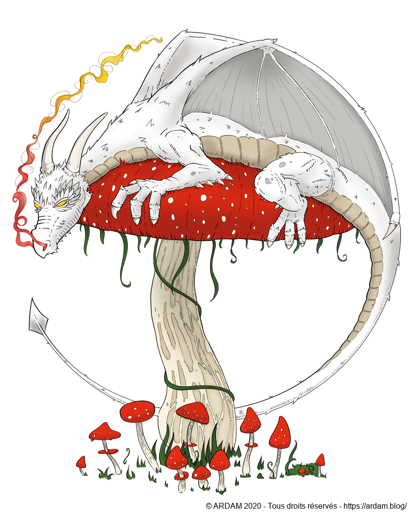 Donjons, Dragons et Champignons